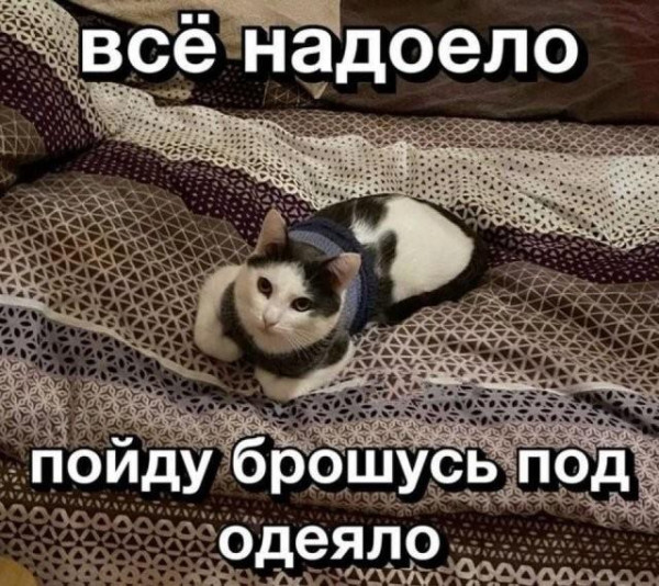 Мем, Антиклептократ Мем, Антиклептократ