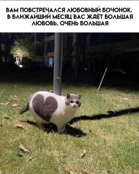 Мем, Антиклептократ Мем, Антиклептократ