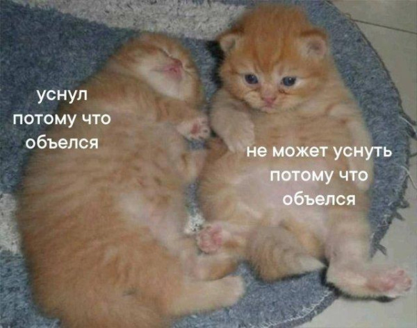 Мем: уснул, уснуть,, Антиклептократ Мем: уснул, уснуть,, Антиклептократ