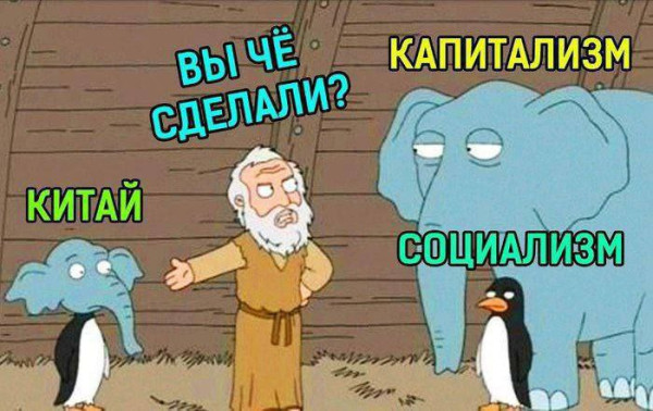 Мем, FDio Мем, FDio