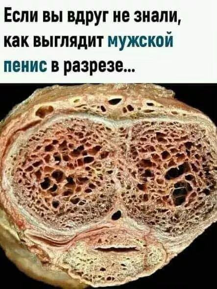 Мем, Jonas