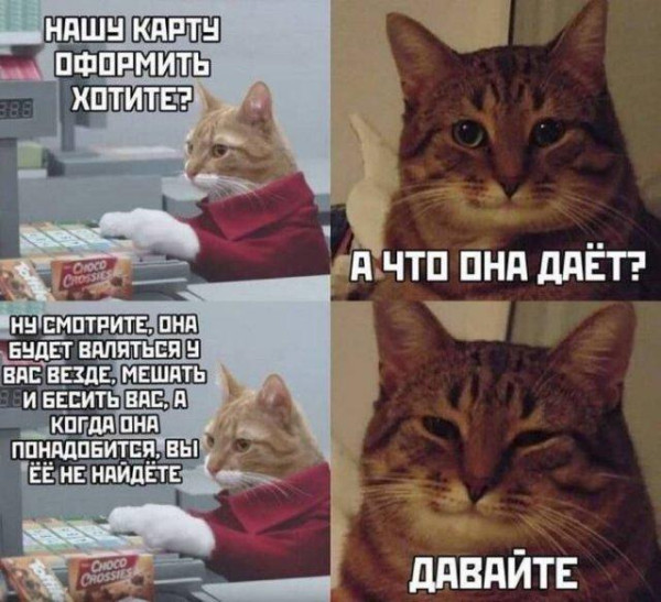 Мем, Антиклептократ Мем, Антиклептократ