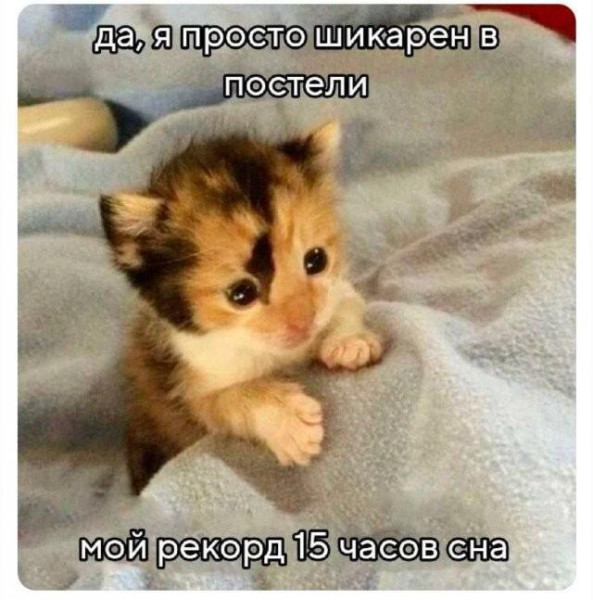 Мем, Антиклептократ Мем, Антиклептократ