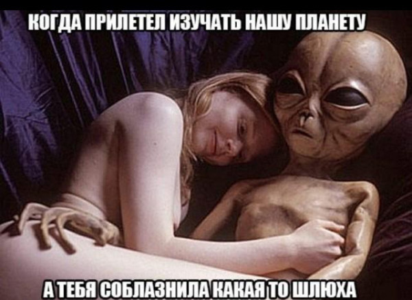 Мем: какая-то, Антиклептократ Мем: какая-то, Антиклептократ