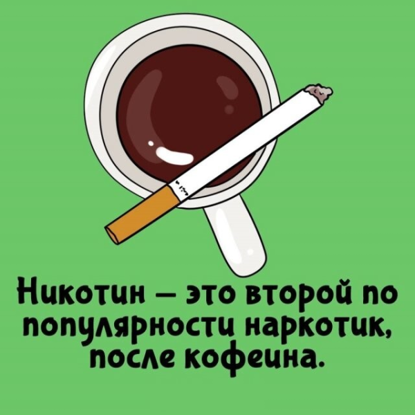 Мем: наркотик после, Антиклептократ
