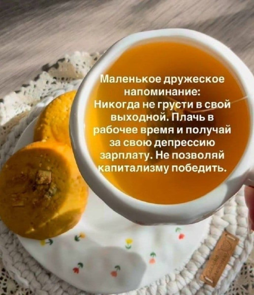 Мем, Diogenes Мем, Diogenes