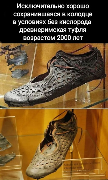 Мем, Рысь