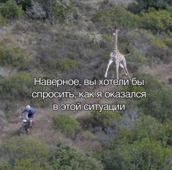 Мем, Антиклептократ