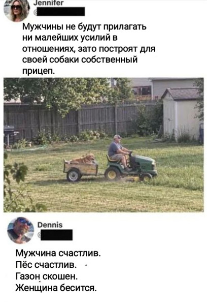Мем, Рысь