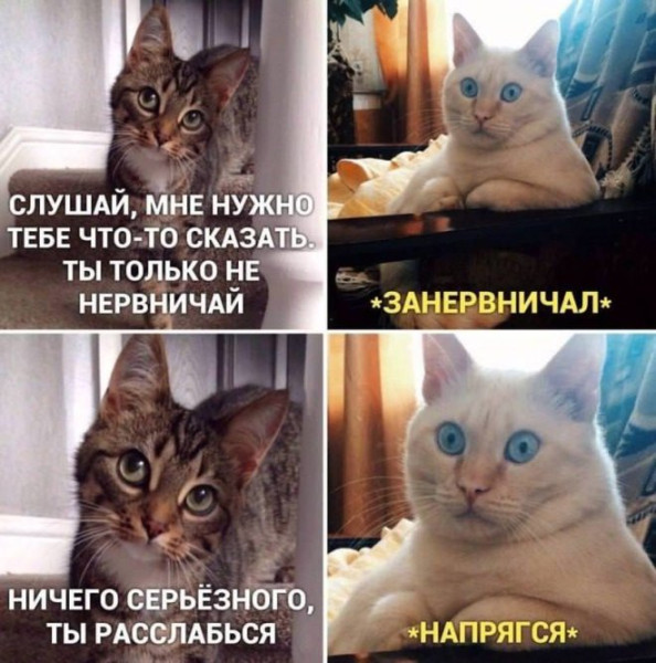 Мем Мем