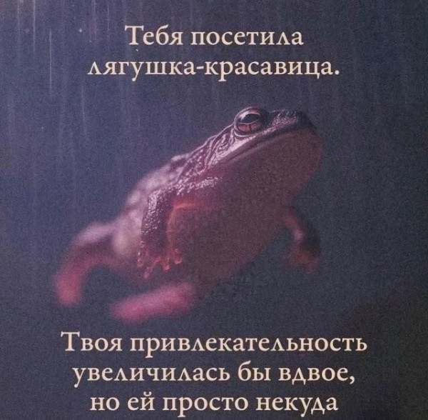 Мем, Bassplayer