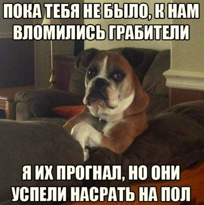 Мем, Meggi Мем, Meggi