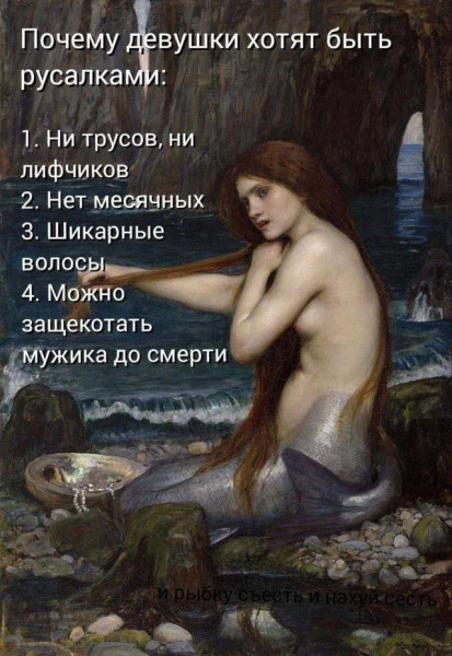 Мем, Антиклептократ