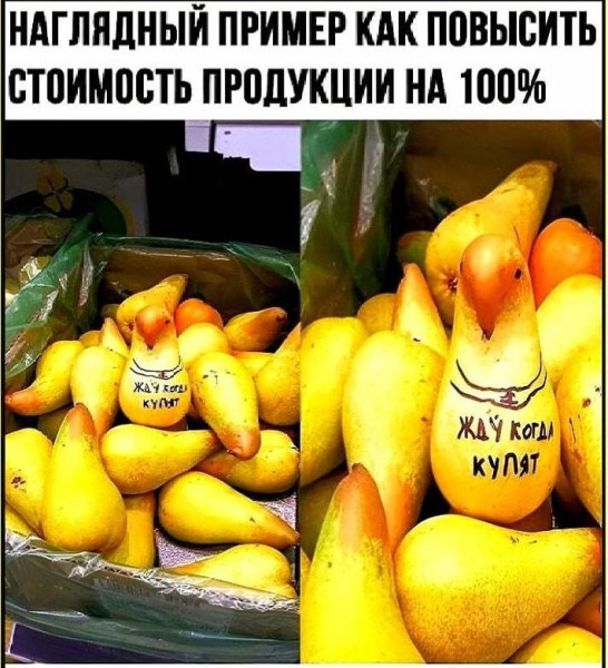 Мем, Bassplayer