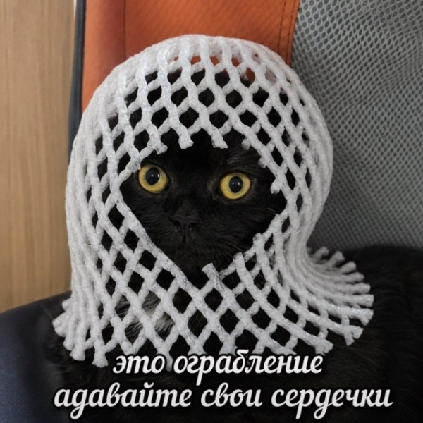 Мем, Bassplayer