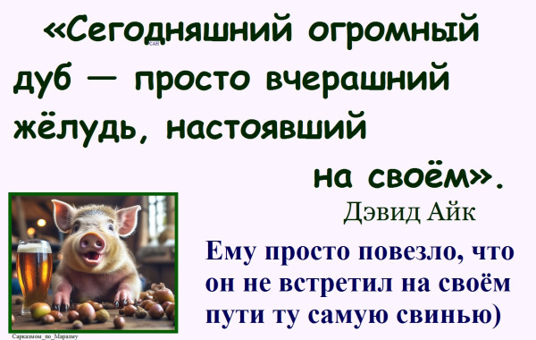 Мем, Александр САН