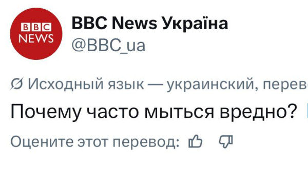 Мем, Максим Камерер