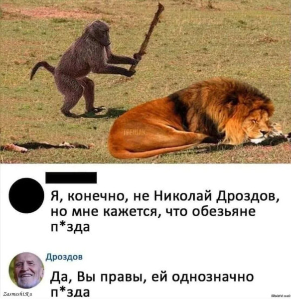 Мем, Правдоруб Адекват