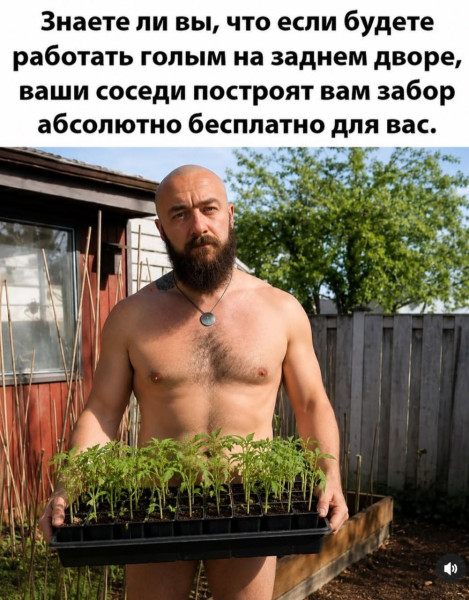 Мем, Ashmedai