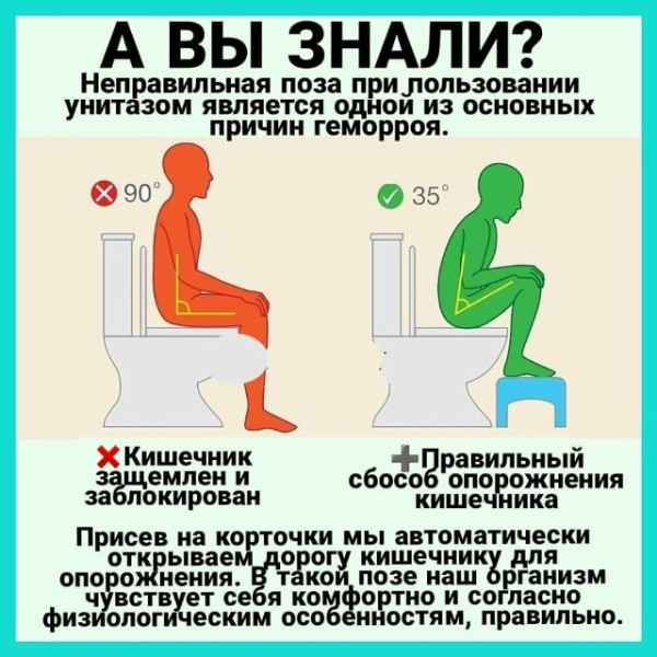 Мем: как правильно какать, Александр Вулых