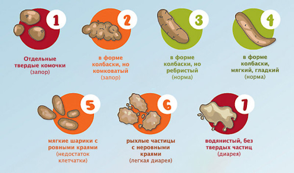 Мем: виды стула, Александр Вулых