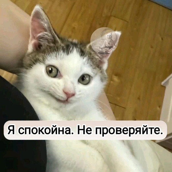 Мем, Рысь
