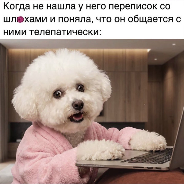 Мем, Bassplayer