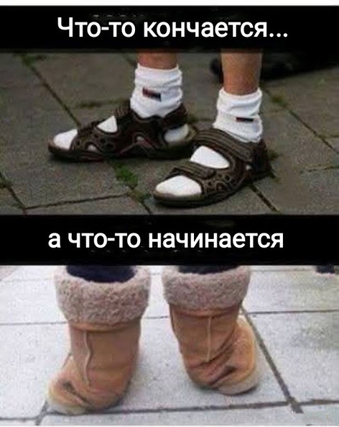 Мем, Рысь