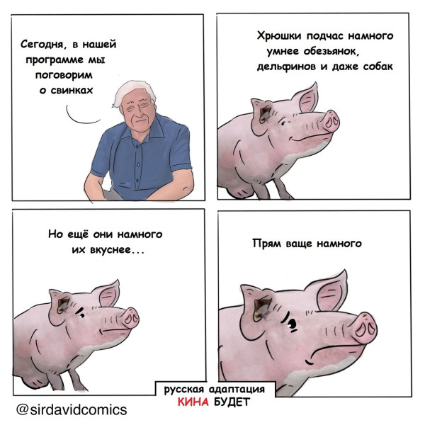 Мем, Кот Отморозкин
