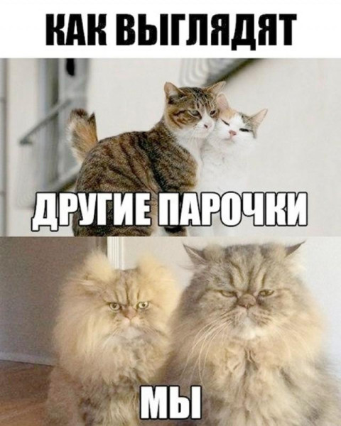 Мем, Антиклептократ