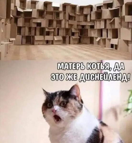 Мем, Антиклептократ