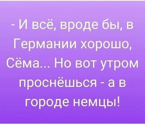 Мем, Максим Камерер