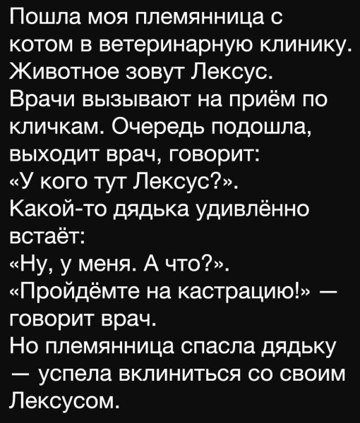 Мем, Ashmedai