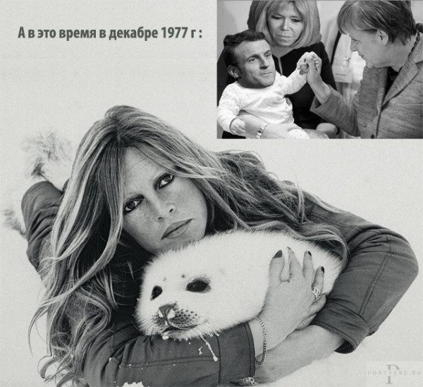 Мем: 28 сентября 1934 — родилась Брижит Бардо Мем: 28 сентября 1934 — родилась Брижит Бардо