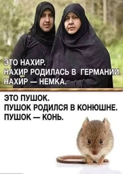 Мем, Максим Камерер Мем, Максим Камерер