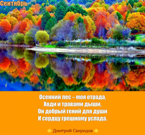 Мем: Краски осени🍂 Мем: Краски осени🍂