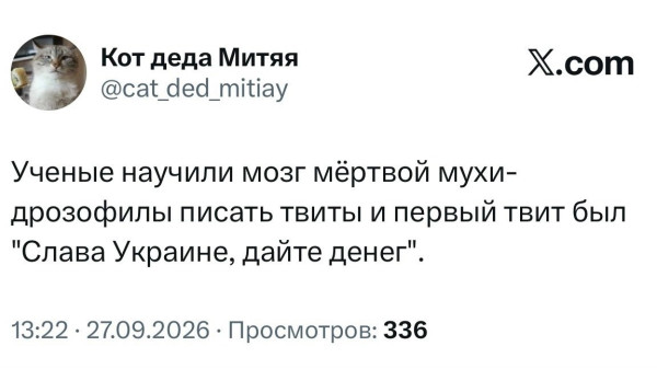 Мем, Максим Камерер
