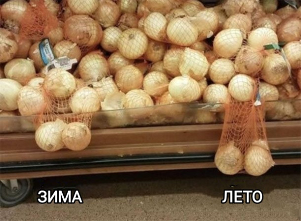Мем, Рысь