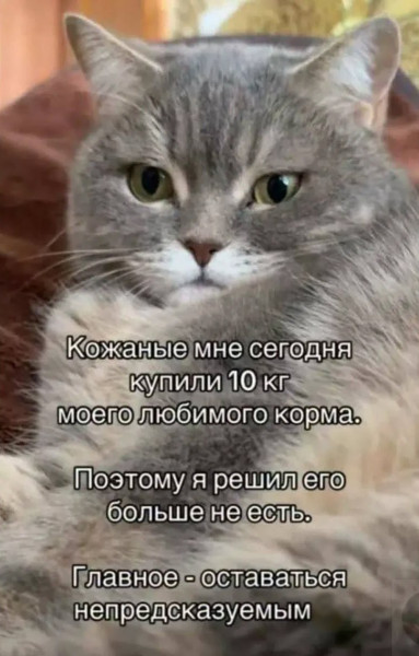 Мем, Hendry