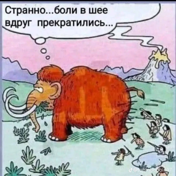 Мем, Ingrid Lovera Мем, Ingrid Lovera