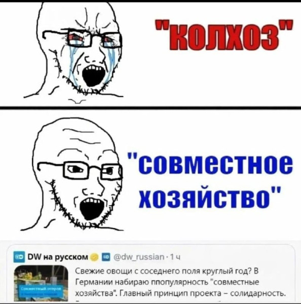 Мем, Kedr72