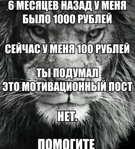 Мем, Bassplayer Мем, Bassplayer
