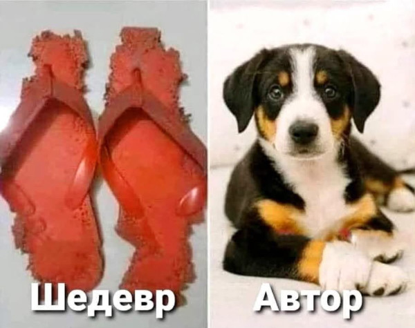 Мем, Рысь