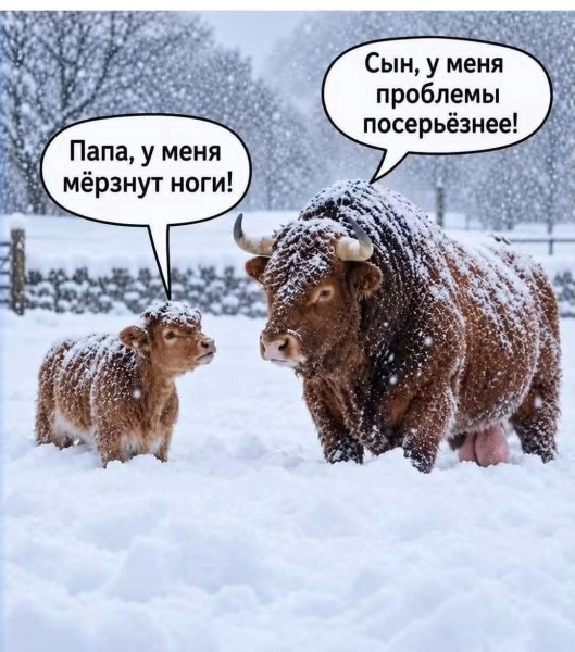 Мем, Jonas Мем, Jonas