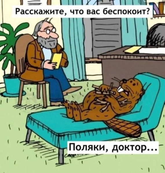 Мем, Bassplayer