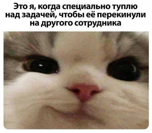 Мем, Bassplayer
