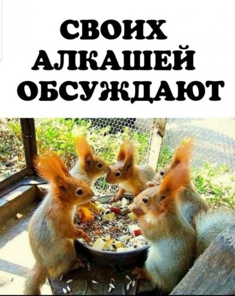 Мем, Антиклептократ Мем, Антиклептократ