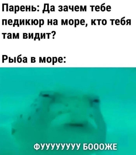 Мем, Антиклептократ