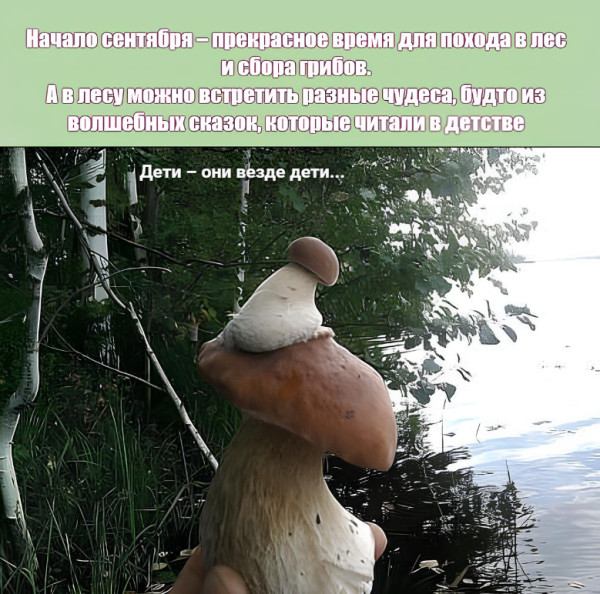 Мем