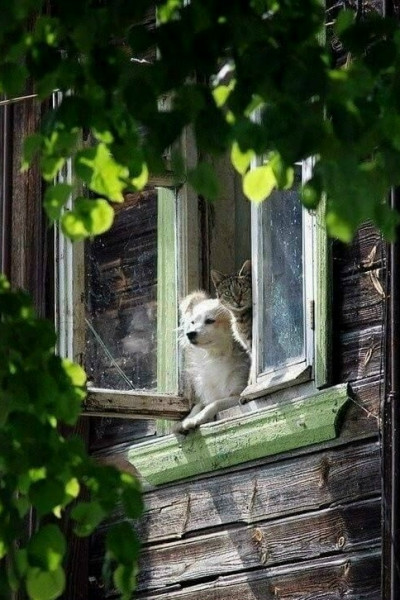 Мем, Александр Скоро